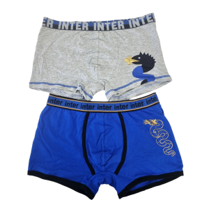 Coppia di boxer uomo compatibile con fc inter