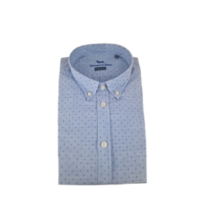 Camicia manica lunga in cotone micro pois  celeste